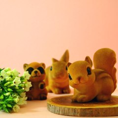 森の物語