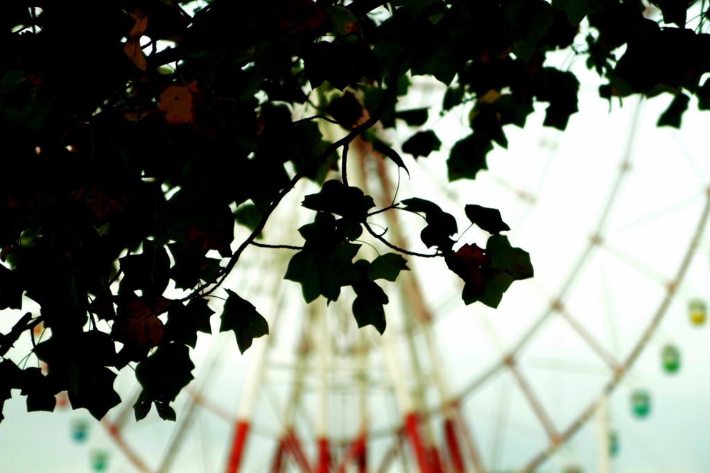 Ferris wheel, 台場