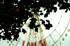 Ferris wheel, 台場