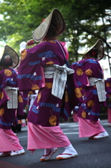 よっちょれ