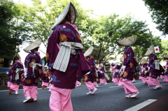 よっちょれよっちょれ