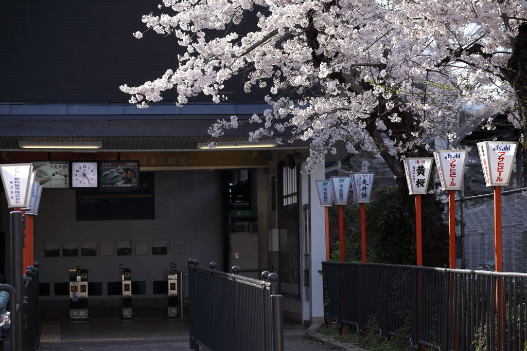 石清水八幡宮へ