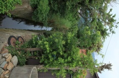田舎の路地裏