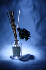 BLACK ROSE