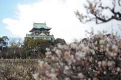 大阪城と梅と