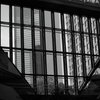 幾何学的