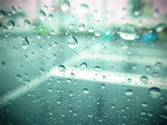 秋雨