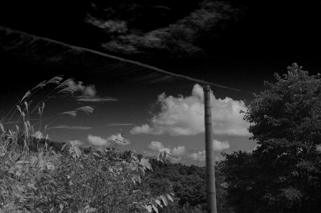 おもいでのなつ