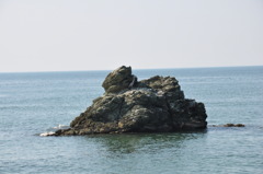 サギ。