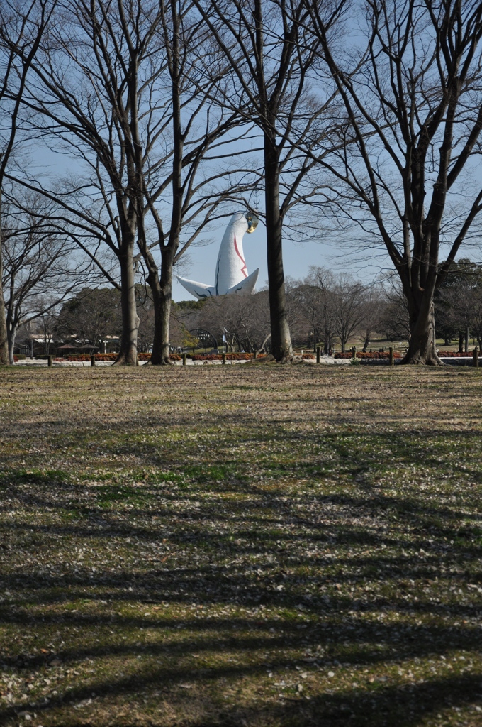 DSC_0666