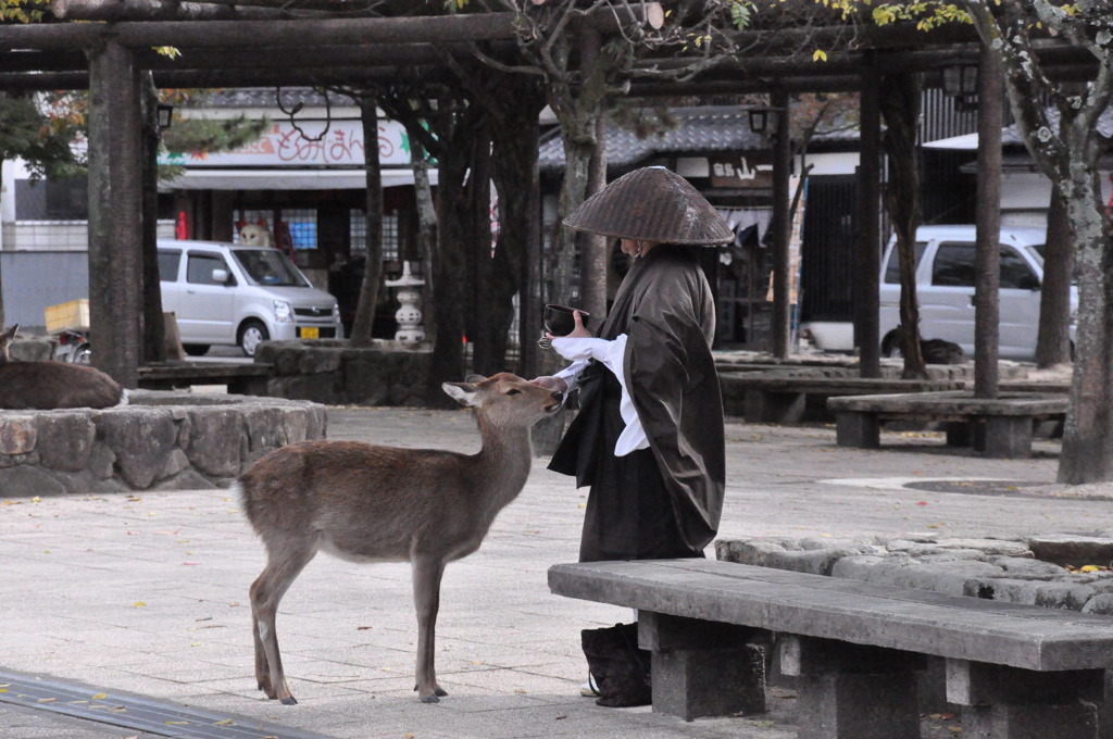 神の遣い.