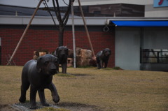 どこへ向かうの.