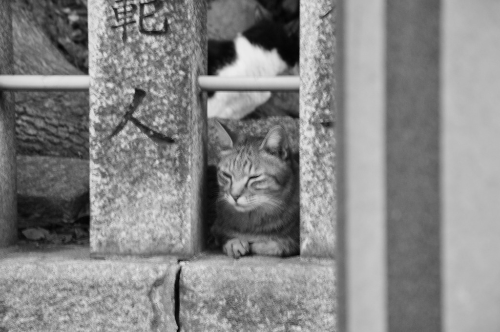 神社で