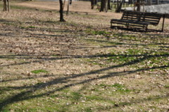 DSC_0681
