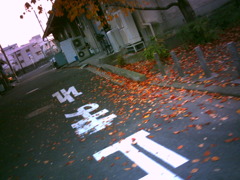 秋道。