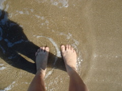 海。