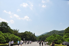 晴天。