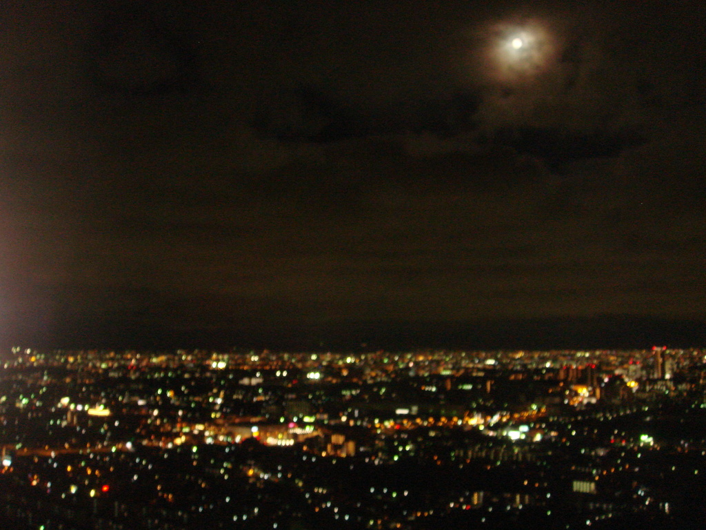 夜景。