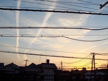 線。