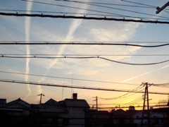 線。
