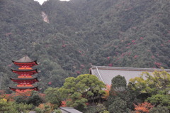 五重塔