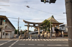 平野。