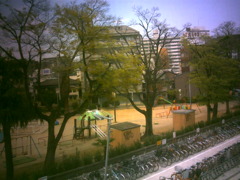 公園。