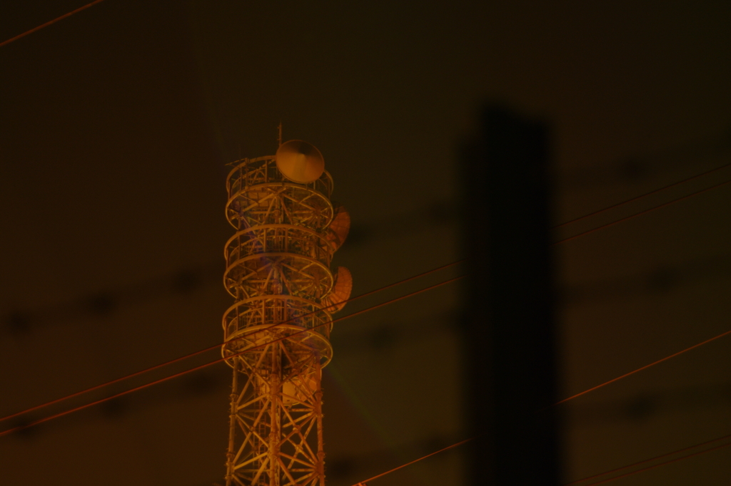 IMGP3888