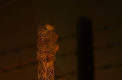 IMGP3888