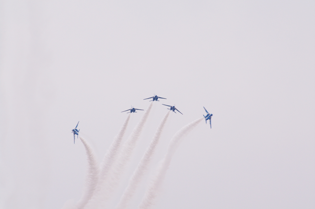 IMGP6458-