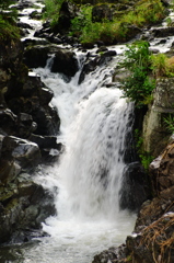 IMGP4875'