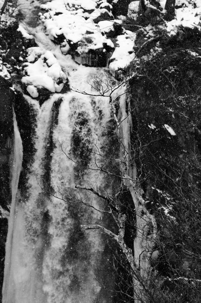 IMGP8078-