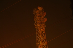 IMGP3887