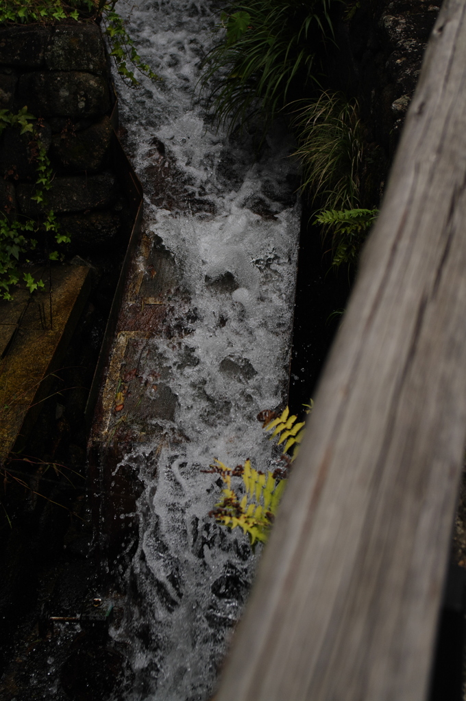 IMGP0086
