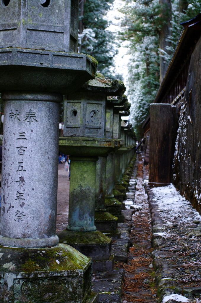 IMGP8208-
