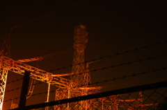 IMGP3903