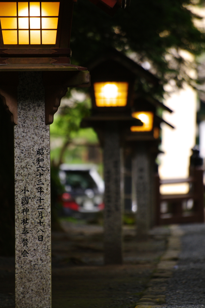 IMGP6622-