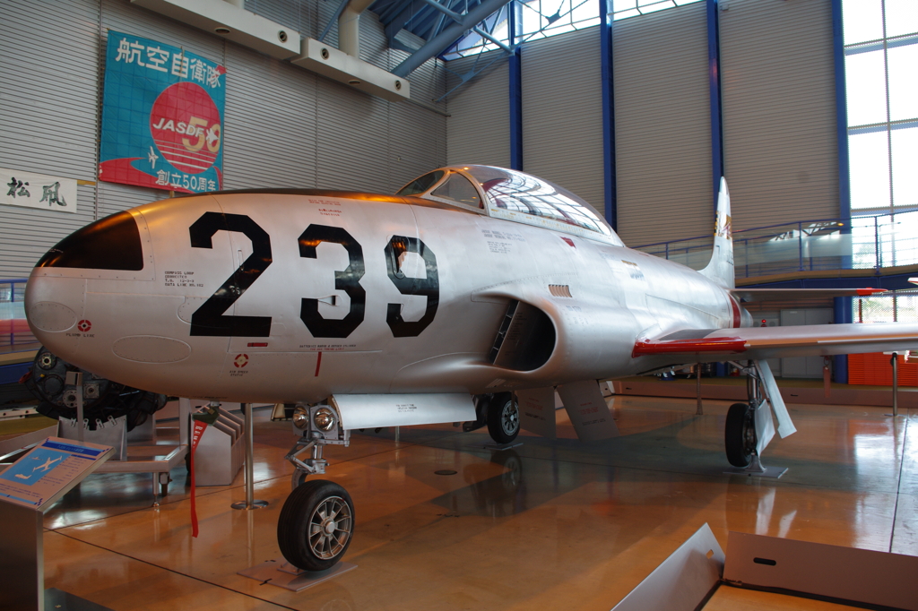 IMGP4104