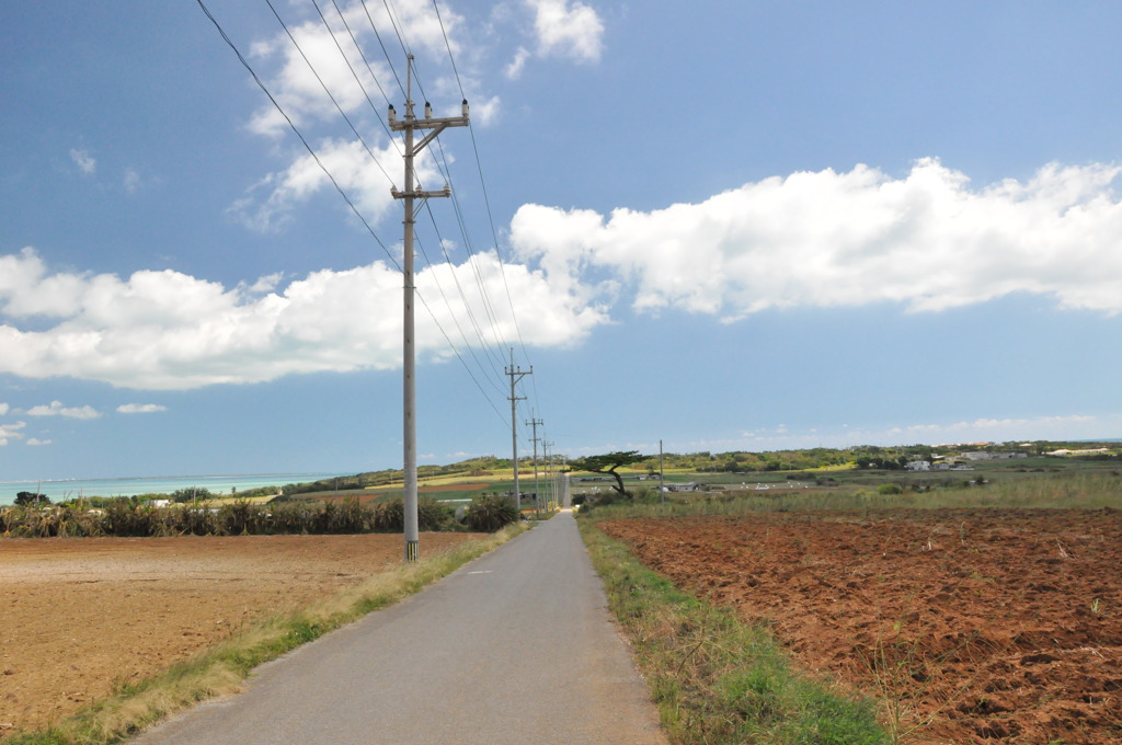 シュガーロード -昼-