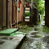 路地裏フェチ