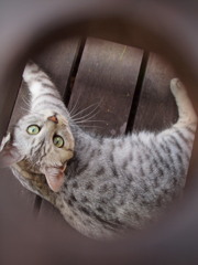 ん？