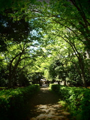 tunnel to