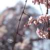 希望