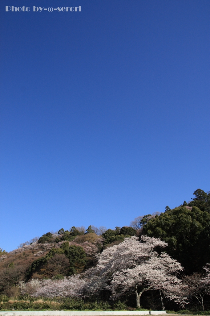 aozorabiyori