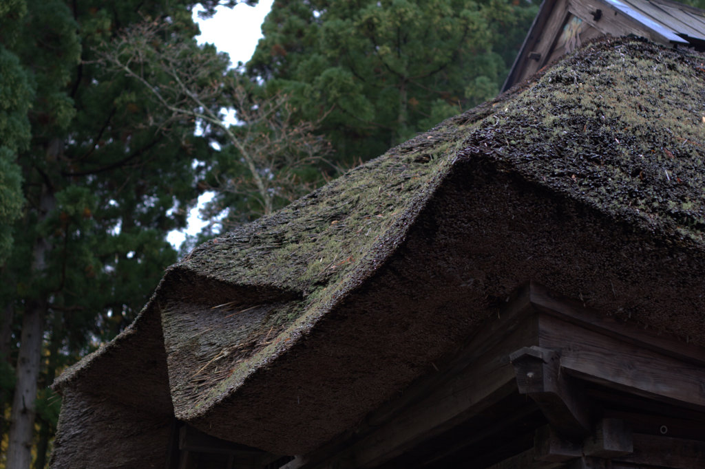 わらぶき屋根