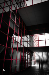 Red Lattice