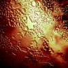 Cloud Beyond Rain Water