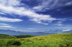 高原の夏