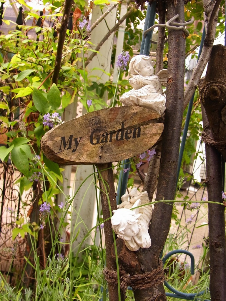 My Garden