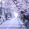 桜坂